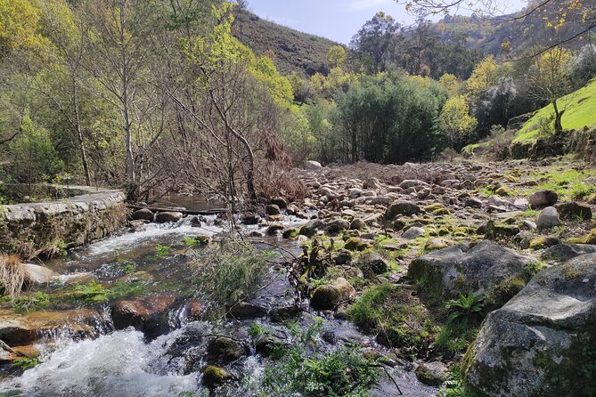 Breathtaking Nature in Gerês Park - Private Tour From Porto - Traveler Experiences