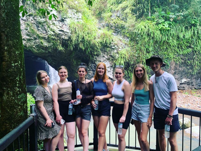 Brisbane: Springbrook and Mt Tamborine Rainforest Day Tour - Meeting Point and Reviews