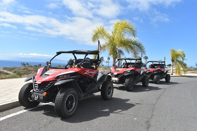 Buggy Tour to Teide in Tenerife - Booking Information