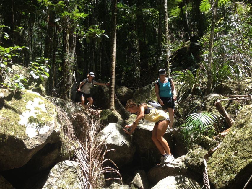 Byron Bay Hinterland: National Park and Waterfalls Tour - Booking Information and Additional Details