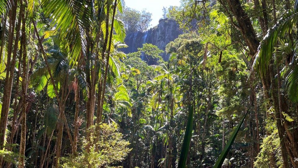 Byron Bay: Minyon Falls - Explore the Rainforest - Directions for the Tour