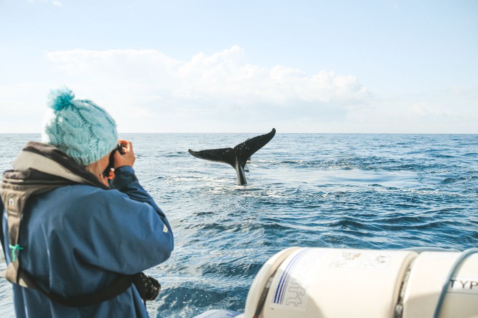 Byron Bay: Whale Watching Cruise With a Marine Biologist - Customer Reviews