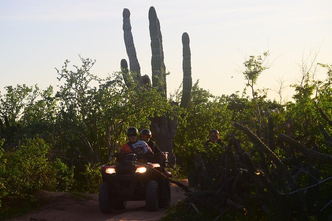 Cabo Original Real Baja 1000 Tour (Double ATV) - Additional Information