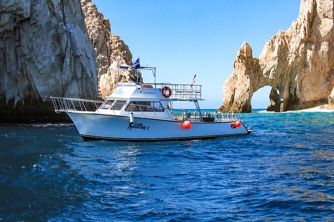 Cabo San Lucas Certified 2 Tank Dive at the Famous Arch and Lands End - Additional Resources and Assistance