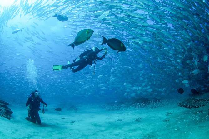 Cabo San Lucas PADI Open Water Certified Diver Course - Common questions