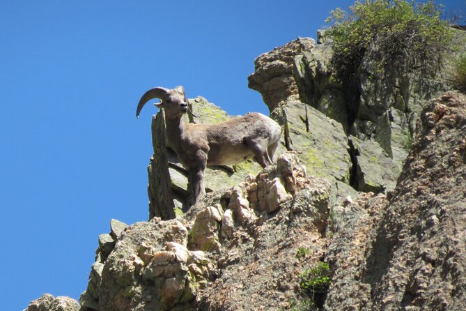 Cache La Poudre Canyon Beginning to Intermediate River Rafting  - Colorado - Common questions