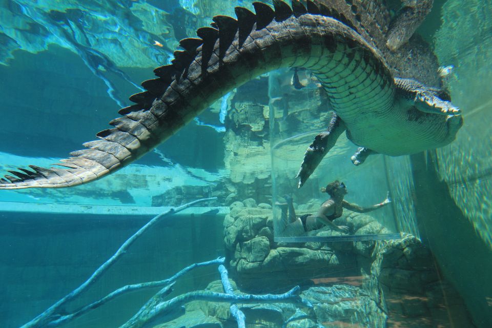 Cage Of Death Crocodile Swim and Entry to Crocosaurus Cove - Location