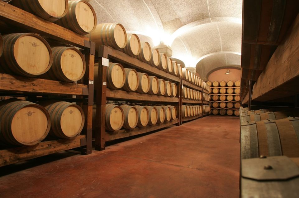Cagliari: Full-Day Private Wine Tasting With Lunch - Customer Reviews