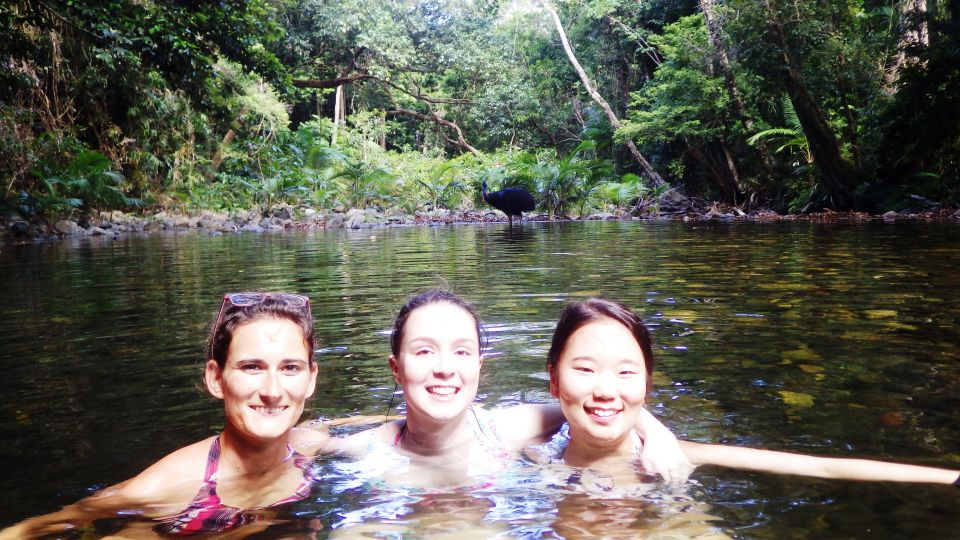 Cairns: Cape Tribulation, Beaches, Crocs & Swimming Day Tour - Customer Reviews