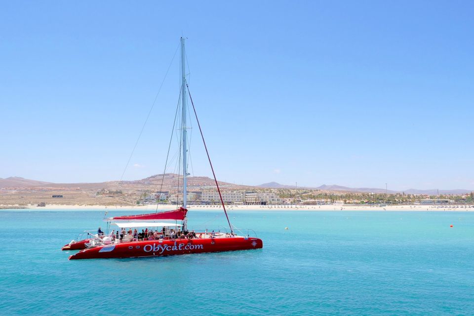 Caleta De Fuste: Catamaran Sailing Experience - Last Words