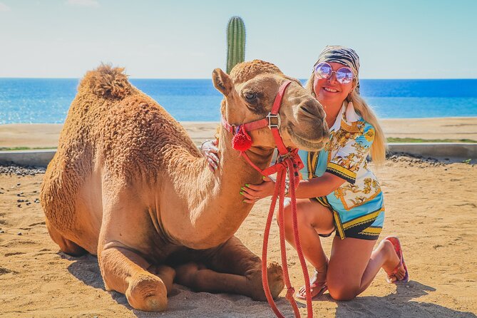 Camel Ride and UTV Combo Adventure, With Tequila Tasting - Additional Charges and Concerns