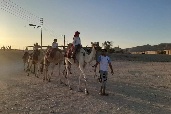 Camel Riding Tour in Luxor West Bank - Last Words