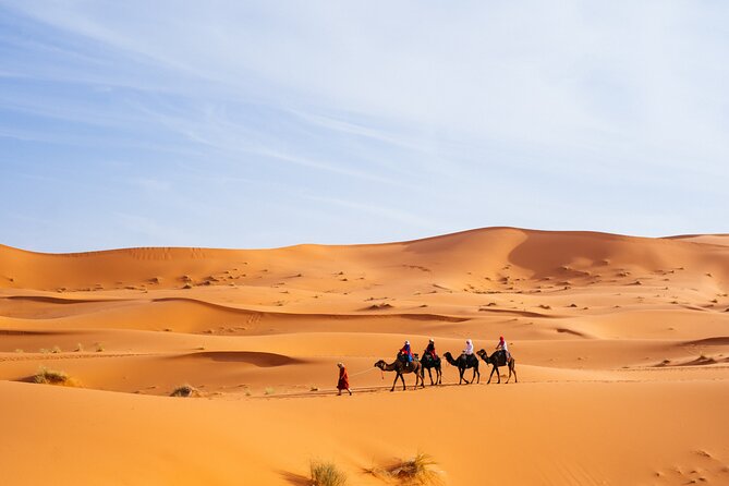 Camel Trekking in Open Red Dunes Desert - Common questions