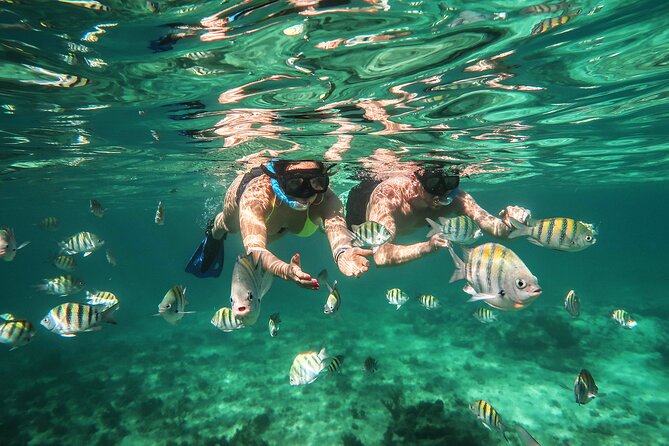 Cancun Luxury Sailing & Snorkeling With Lunch and Open Bar Onboard - Booking Information