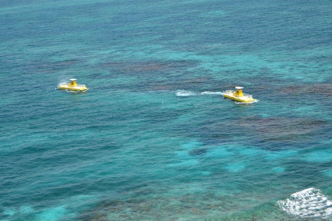 Cancun Submarine and Optional Snorkeling Tour - Feedback and Recommendations