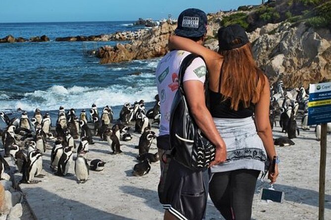 Cape of Good Hope-Cape Point - Penguins Private Tour Cape Town - Last Words