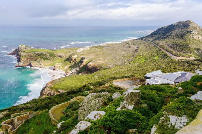 Cape Point Tour - Private - Expert Guide Insights