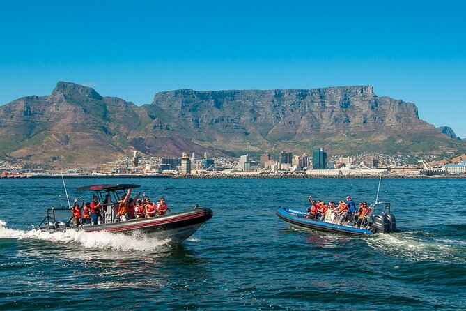 Cape Town Ocean Safari Boat Tour - Last Words