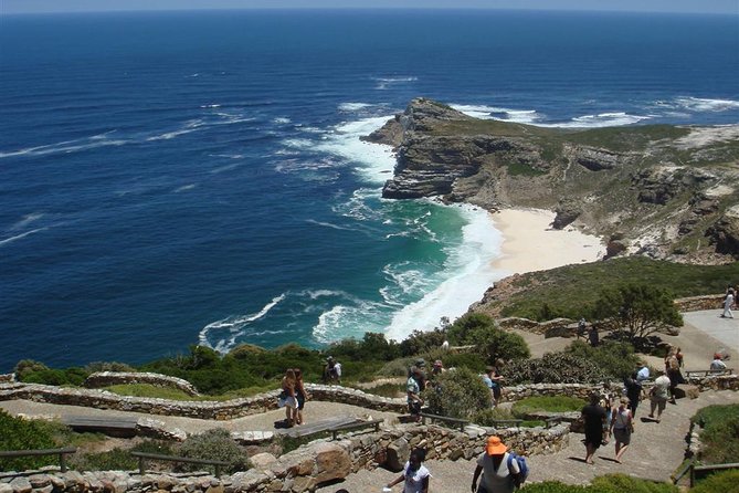 Cape Town Private Tour , Cape Peninsula Penguin - Cancellation Policy