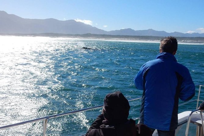 Cape Town: Whale-Watching Experience - Last Words