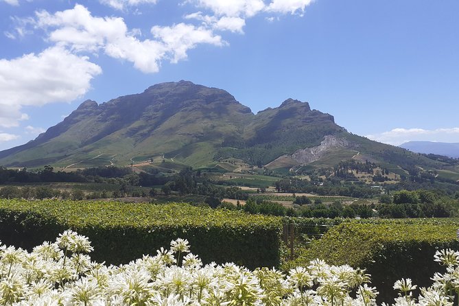 Cape Winelands and Wine Tasting Full Day Tour - Weather Considerations
