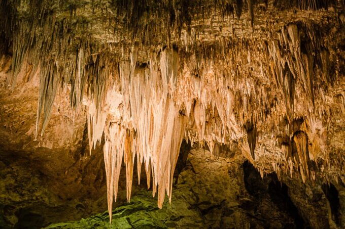 Carlsbad Caverns National Park Walking Audio Tour - Common questions