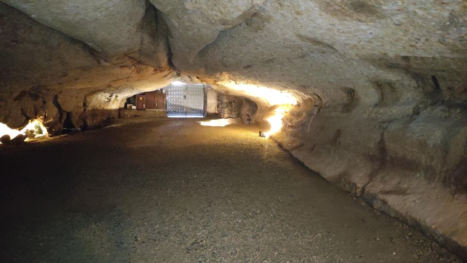 Caves Prehistory of Esplugues Francolí - Vehicles and Languages