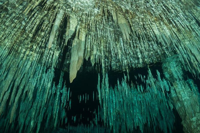 Cenote Diving Experience  - Tulum - Dive Locations