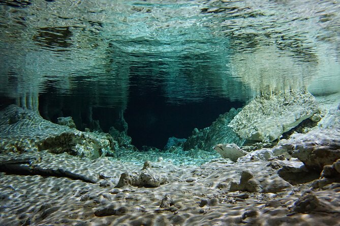 Cenotes Private Tour VIP - VIP Experience