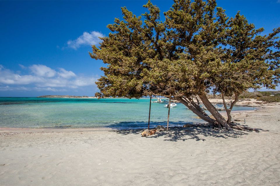 Chania: Elafonisi and Milia Mountain With Loungers and Lunch - Customer Reviews