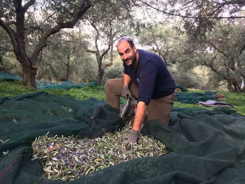 Chania Olive Oil Tour: Olive Oil Tasting & Bio Fruits Tour - Customer Reviews