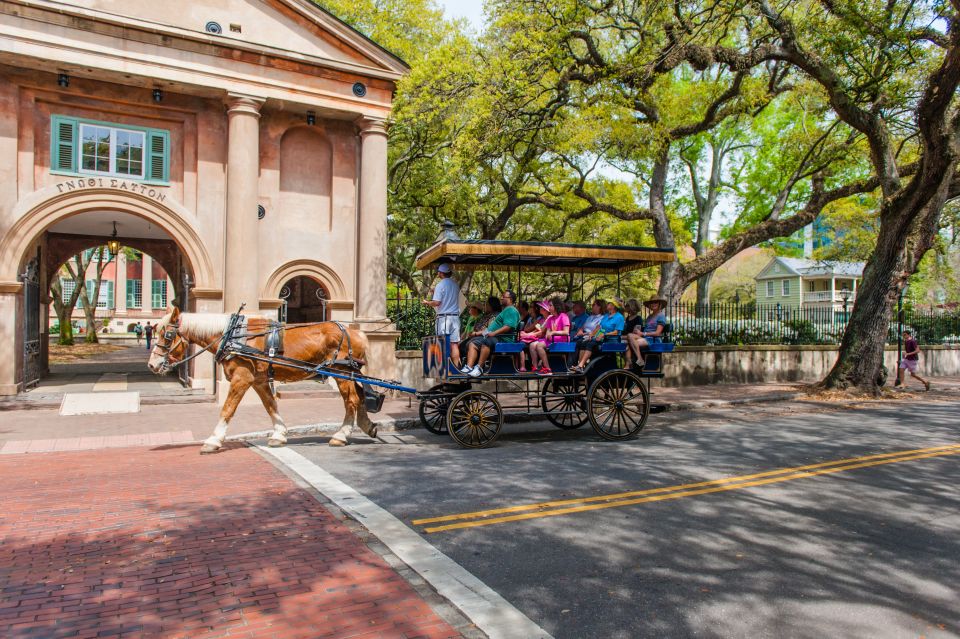 Charleston: 1-Hour Carriage Tour of the Historic District - Directions and Tips for Participants