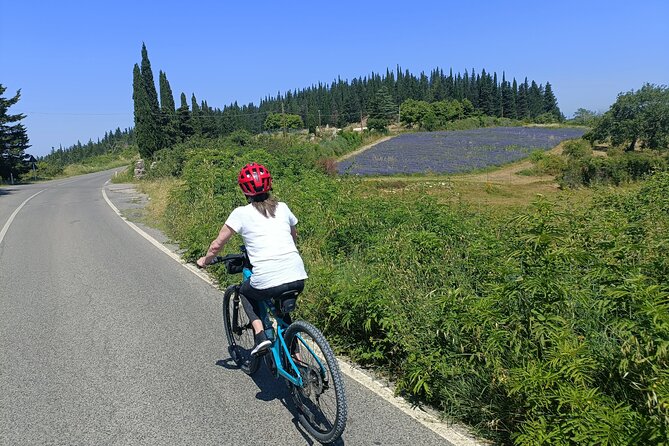 Chianti E-Bike Tour From Florence With Wine Tasting - Pricing Details