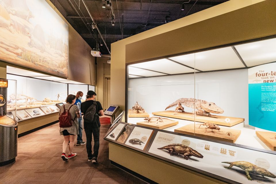 Chicago: Field Museum of Natural History Ticket or VIP Tour - Visitor Tips