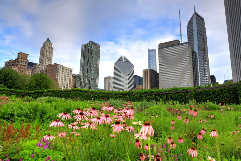 Chicago: Millennium Park Self-Guided Walking Tour - Customer Reviews