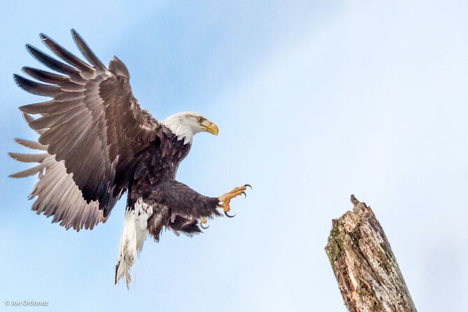 Chilkat Bald Eagle Preserve Rafting - Skagway Departure - Refund and Change Policy