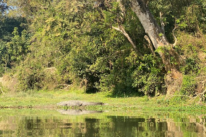 Chitwan Jungle Safari Tour - Last Words