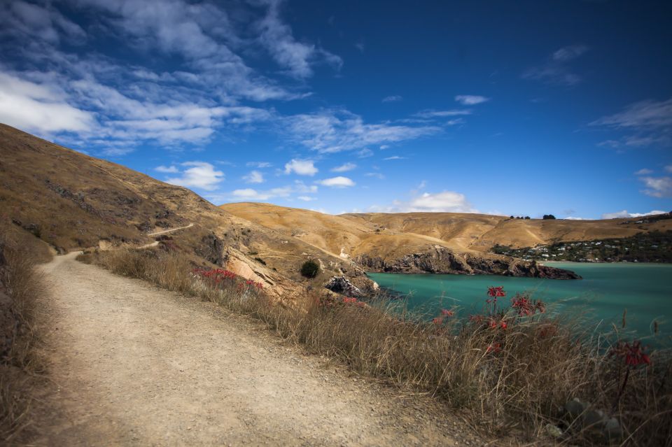 Christchurch: Guided Crater Rim Walk With Picnic - Additional Information