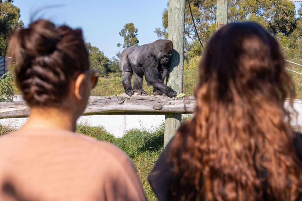 Christchurch: Orana Wildlife Park Admission - Last Words