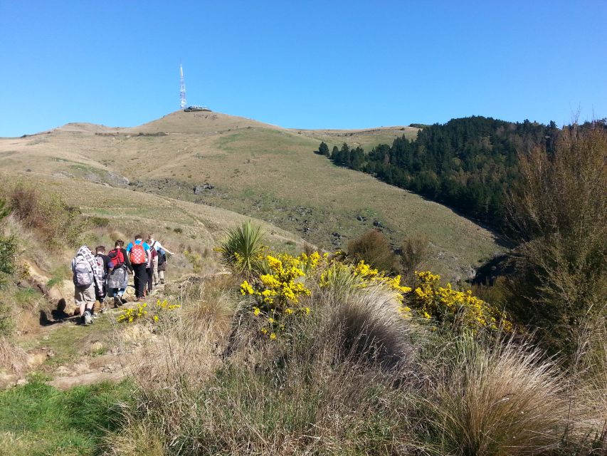 Christchurch: Packhorse Hut Guided Walk and Scenic Drive - Last Words