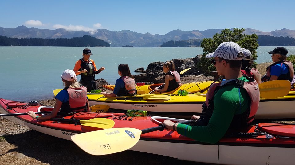 Christchurch: Sea Kayaking Tour of Lyttelton Harbour - Meeting Point and Transportation