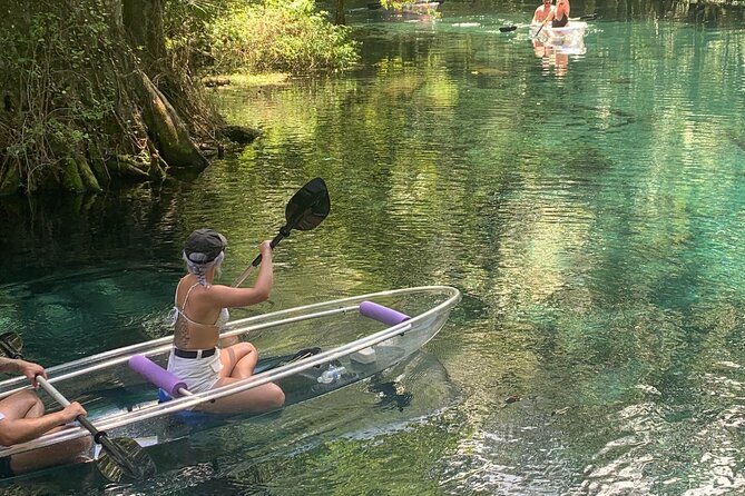 Clear Canoeing and Wildlife Sightseeing at Silver Springs - Dive Deeper Into Additional Information