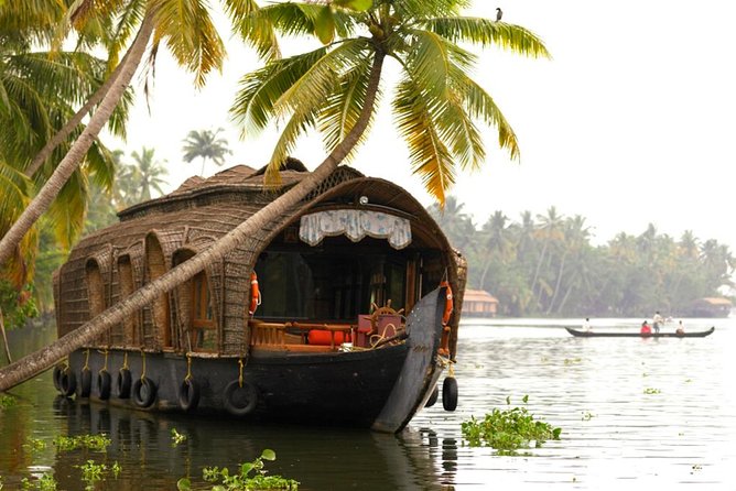 Cochin City or Backwater Shore Excursions From Cruise Terminal - Unique Experiences