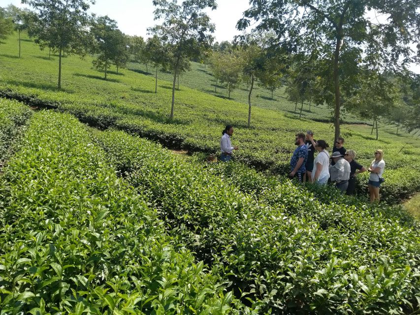 Coffee - Wine - Tea Da Lat's Agricultural Treasures Tour - Activity Details