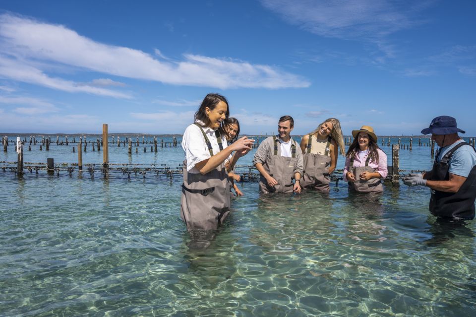 Coffin Bay: Oyster Farm Boat Tour With Wading & 12 Oysters - Important Information