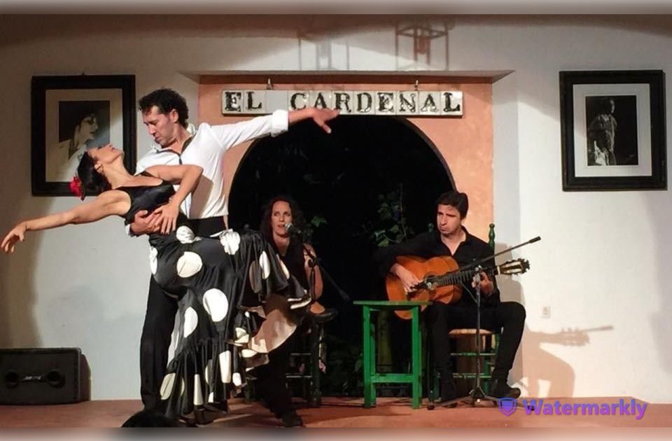 Córdoba: Flamenco Show Ticket With Drinks - Review Summary