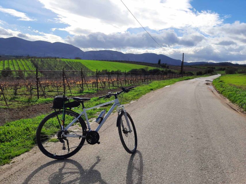 Corinth & Nemea: Guided E-Bike Tour With Wine Tasting - What to Bring