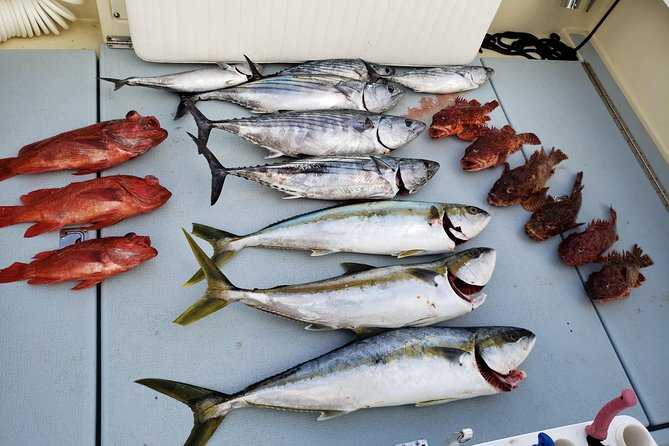 Coronado Islands 12 Hour Fishing Trip for up to 4 People - Last Words