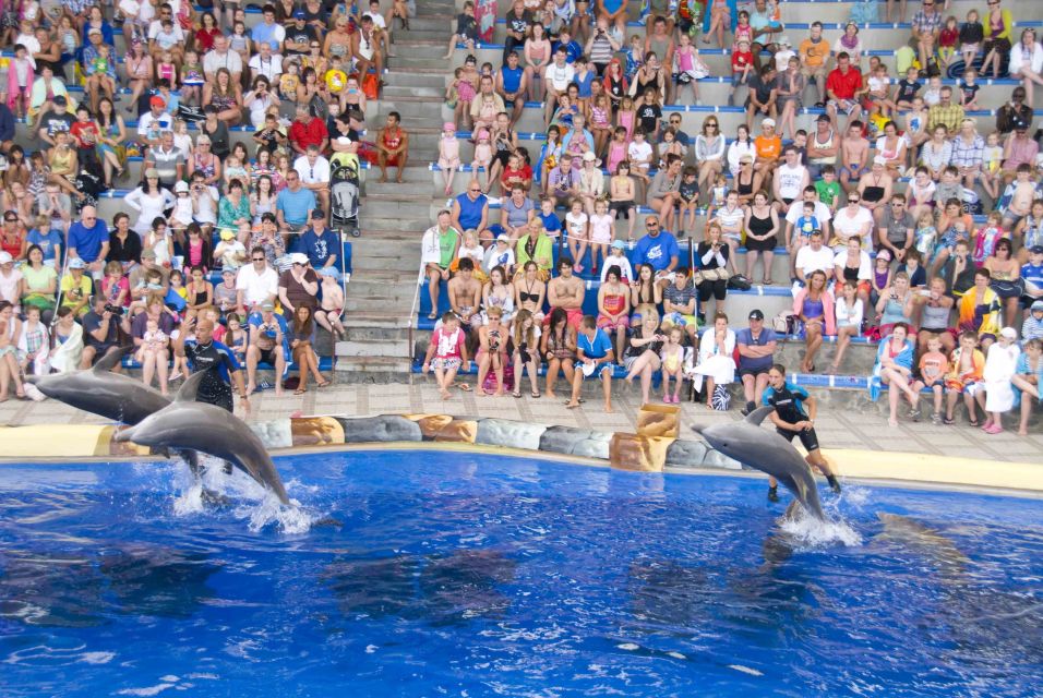Costa Adeje: Aqualand Water Park Ticket With Dolphin Show - Review Summary