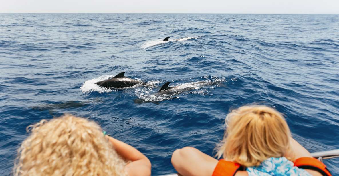 Costa Adeje: Whale Watching Catamaran Tour With Drinks - Key Points